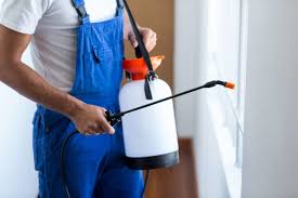 Best Residential Pest Control  in Black Diamond, FL